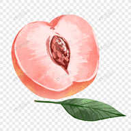 wwe直播免费完整版APP应用