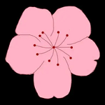 红豆传媒APP最新版